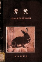 养兔