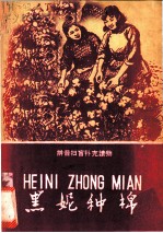 黑妮种棉