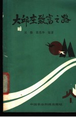 大邱庄致富之路