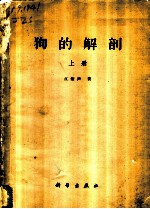 狗的解剖 上