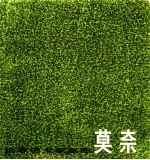 莫奈 1840-1926