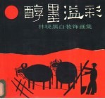 醇墨溢彩 林晓黑白装饰画集