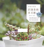 识别多肉并不难