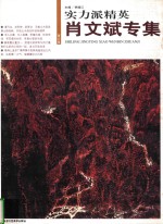 实力派精英 第6辑 肖文斌专集