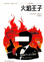 国家阴谋 火焰王子