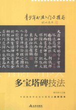 青少年书法入门与提高 多宝塔碑技法