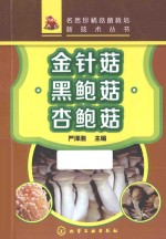 金针菇 黑鲍菇 杏鲍菇