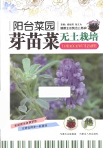 阳台菜园 芽苗菜无土栽培