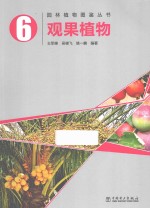 观果植物
