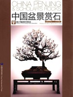 中国盆景赏石 盆景世界行-日本特辑