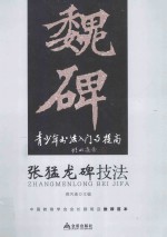 青少年书法入门与提高 张猛龙碑技法