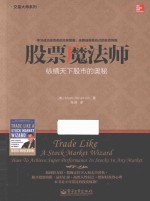 股票魔法师 纵横天下股市的奥秘
