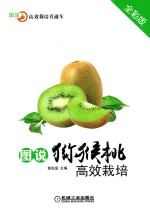 图说猕猴桃高效栽培 全彩版