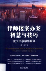律师接案办案智慧与技巧 重大民事案件复盘