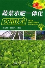 蔬菜水肥一体化实用技术