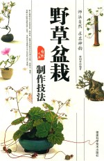 野草盆栽 制作技法