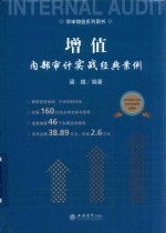 增值 内部审计实战经典案例