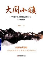 大国小镇 中国特色小镇顶层设计与行动路径