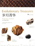 岁月菁华 化石档案与故事