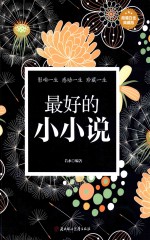 最好的小小说 超值白金典藏版