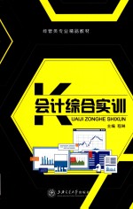 会计综合实训 双色