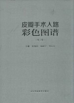皮瓣手术入路彩色图谱 第2版