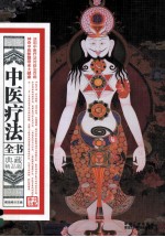 中医疗法全书 下 典藏精品版