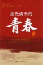 星光满天的青春 上