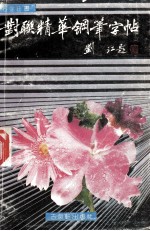 对联精华钢笔字帖