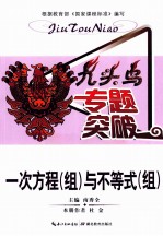 九头鸟专题突破 初中数学 一次方程(组)与不等式(组)