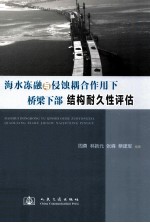 海水冻融与侵蚀耦合作用下桥梁下部结构耐久性评估