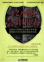 12小时会计报表 修订版