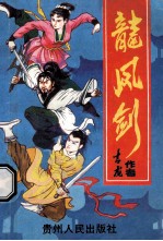 龙凤剑 下