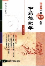 图表解中医备考丛书 中药炮制学