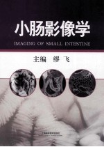 小肠影像学