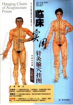 临床实用针灸腧穴挂图