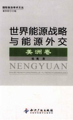 世界能源战略与能源外交 美洲卷