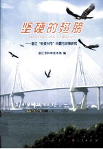 坚硬的翅膀 湛江“科技兴市”问题与对策研究