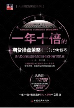 一年十倍的期货操盘策略 3 分时技巧