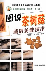图说茶树菇栽培关键技术