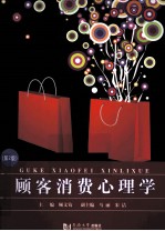 顾客消费心理学 第2版