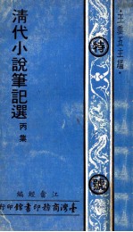 清代小说笔记选 丙集