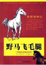 西顿动物记 野马飞毛腿