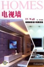 家居创意设计效果图集 电视墙
