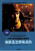 钢铁是怎样炼成的 新课标注音版
