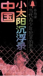 中国小太阳沉浮录 当代青少年犯罪的思考