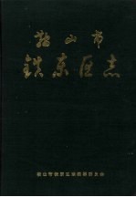 鞍山市铁东区志