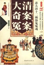 大清奇案冤案 悲大清十二朝怨鬼冤魂