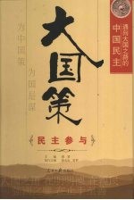 大国策 通向大国之路的中国民主 民主参与