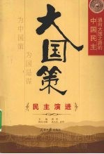 大国策 通向大国之路的中国民主 民主演进